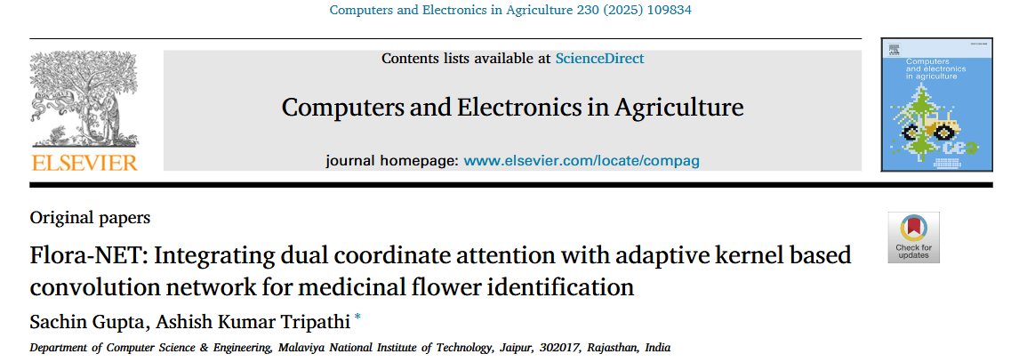 image-20251202233716904